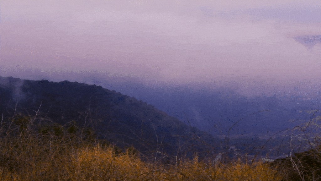 Films — misty hillside landscape still
