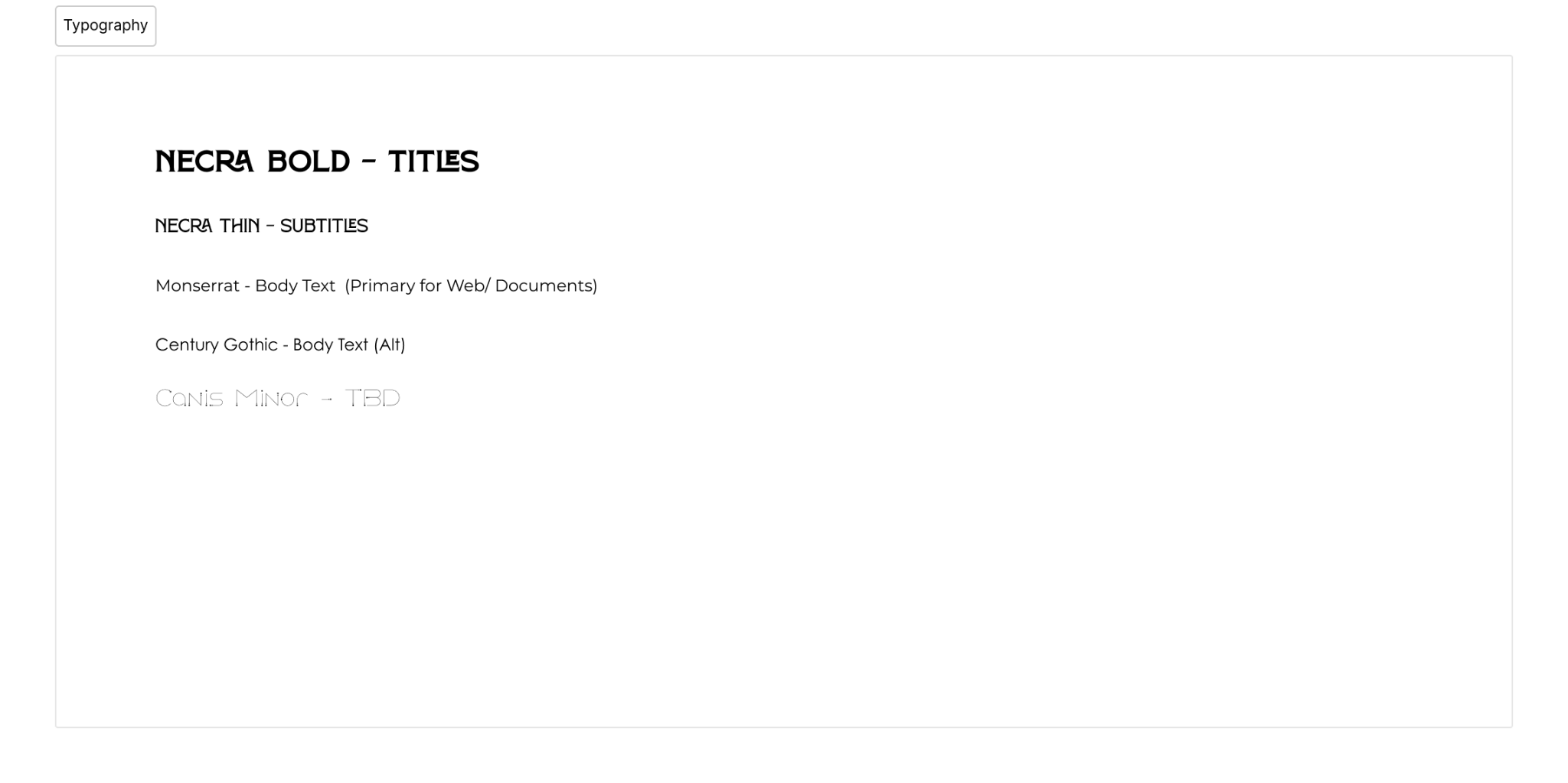 Rill Insights typography system