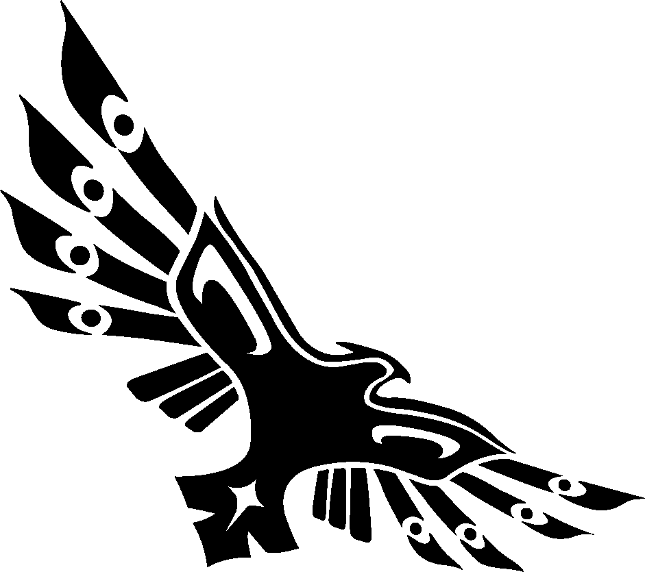 Rill Insights logo (brand redesign)